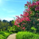 함열경로당 이미지