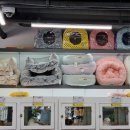 야옹아 멍멍해봐 대흥점 이미지