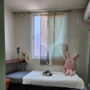 스테이 고대 이미지