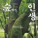 숲을향한시선 이미지