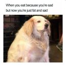 야곡내 | 참고 살아