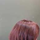 더민 이미지