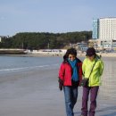 바다여행 이미지