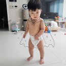 성기농장 | 모모래빗 에코씽씽썸머, 여름기저귀 14개월 아기 사용 후기