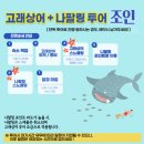 &lt;24년 9월 보홀&gt; 보홀스케치와 고래상어 &amp; 나팔링 투어 진행한 후기