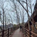 만천하스카이워크  입구 | [여행] 사계절이 좋은 단양 여행 만천하 스카이워크와 잔도길 코스