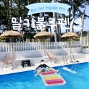 [태안 : 밀키블루펜션]청포대 해수욕장 갯벌체험, 해루질, 수영장 이용가능한 펜션