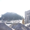 통나무아일랜드 이미지