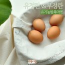 유정란 VS 무정란 난각번호 1번 계란 유기농방목마켓