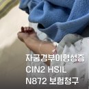중앙진단방사선과의원 | 자궁경부이형성증 HSIL CIN2 원추절제술 후 진단서 N872 소액암 보험금 신청후기