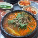 제주본토박이 이미지