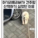 너와의 산책 이미지