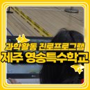 신나는 공예교실 | 특수학교 과학축제 체험부스 업체 선정 시 꼭 체크해야 할 5가지 - 제주 영송학교후기
