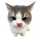 외동반림로-4 네이버블로그