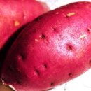 경일농장 이미지