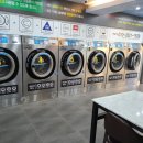 크린세탁광장
