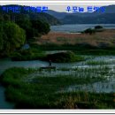 파아란여행클럽