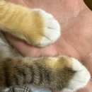 이조반점 | [3月] 난 아직 거지니까 떠야 해