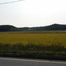 22사단 가는길 이미지