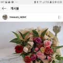 토끼꽃방 이미지