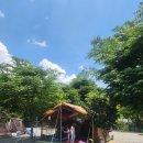 상면# 삼화힐링타운캠핑장