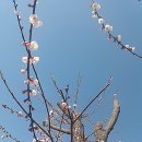 이미경로당 이미지