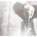 라메르 호텔 이미지