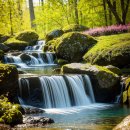 마르켄9 | 제주빵지순례 제주 베이글뮤지엄 방문 후기