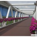 낙동강변3 이미지