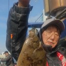 참가자미 이미지