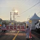 장전리 | 2026벚꽃축제 제주 장전리 다녀온 후기! 벚꽃은 없지만 즐길거리는 가득