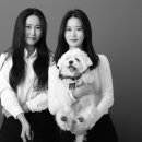 다옴한지 이미지