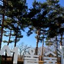 서울숲12 이미지