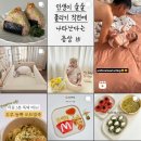 금쪽같은내새끼 동물병원 | 육아는 &#39;인스타그래머블&#39;할까