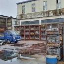 봉암동100 이미지