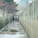 생츄어리