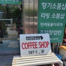 [대전 대흥동 카페] 올드하우스 내돈내산 후기, 숨겨진 3층 감성카페 발견!