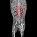 손수의과병원 이미지