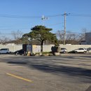 골든비치 | 태안펜션 신두리해변 이글루돔 무한리필 바베큐 내돈내산 솔직후기 골든비치펜션