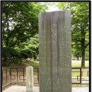 영영축성비 이미지
