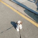 펫클럽하남