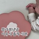 냠냠이유식 | 블라썸 냠냠 이유식 흡착 식판 사용 후기