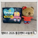엔젤 소프트 | 팸퍼스 2026 통잠팬티 엔젤브리즈 소프트팬티 꿀조합 후기