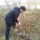 대술초등학교 이미지