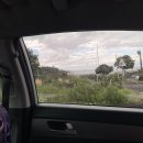 부영농장3 이미지