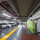 인터케어 | 서울 강남 인터케어 종합건강검진 비용 예약 주차 후기(MRI CT 등)