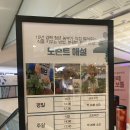 하늘정원다육이 | NC강서 반려식물 팝업 실내놀거리 찾는다면 잊지말고 방문하세요!