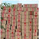 데이베이크 이미지