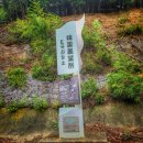 신사로-2 | 25.10.04. 일본 대마도 2박 3일 여행 2일차 후기