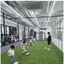 드림에듀 스포츠 앤 유도센터 이미지